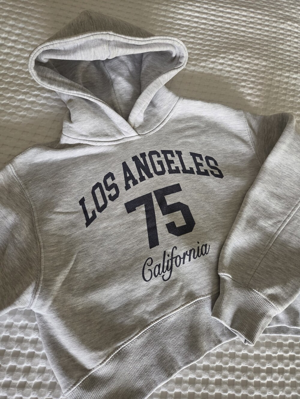 Zara cropped Los Angeles Hoodie